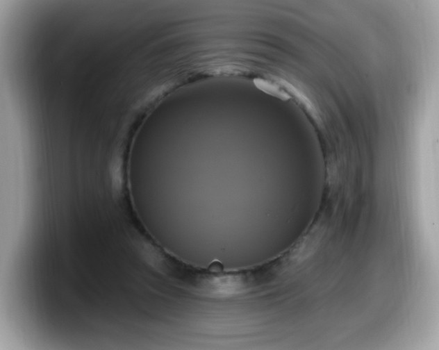 X0000099950353200805301240