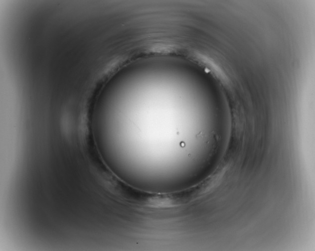 X0000099950354200805301240