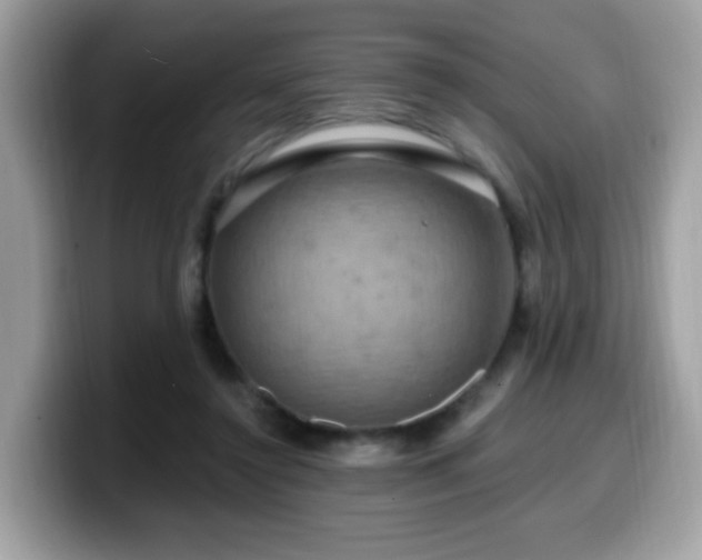 X0000099950356200805301240