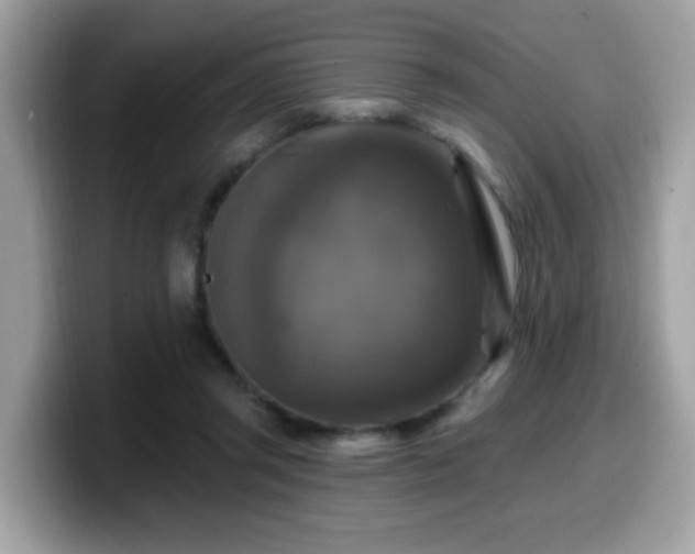 X0000099950357200805301240