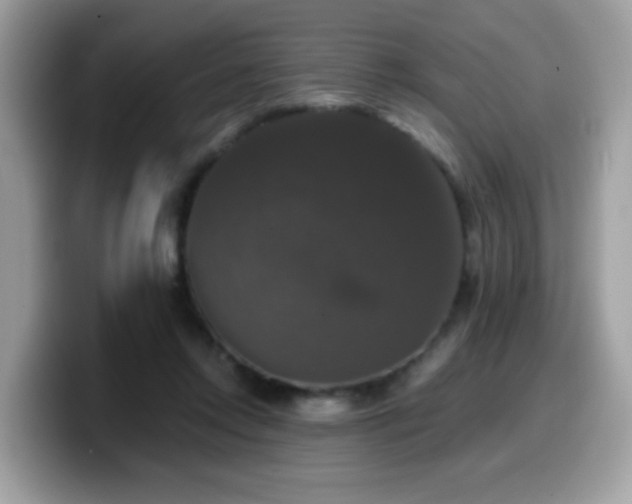 X0000099950358200805301240