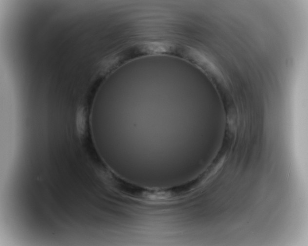 X0000099950359200805301240