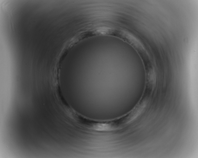 X0000099950361200805301240