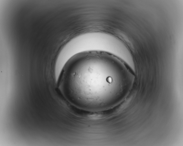 X0000099950362200805301240