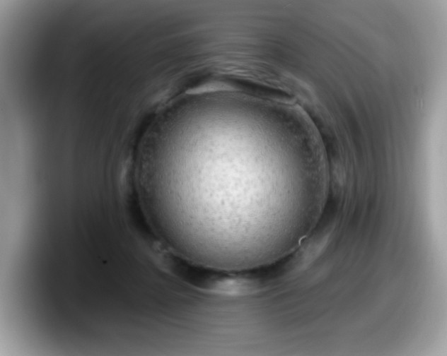 X0000099950364200805301240