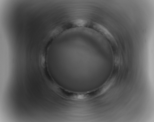 X0000099950365200805301240
