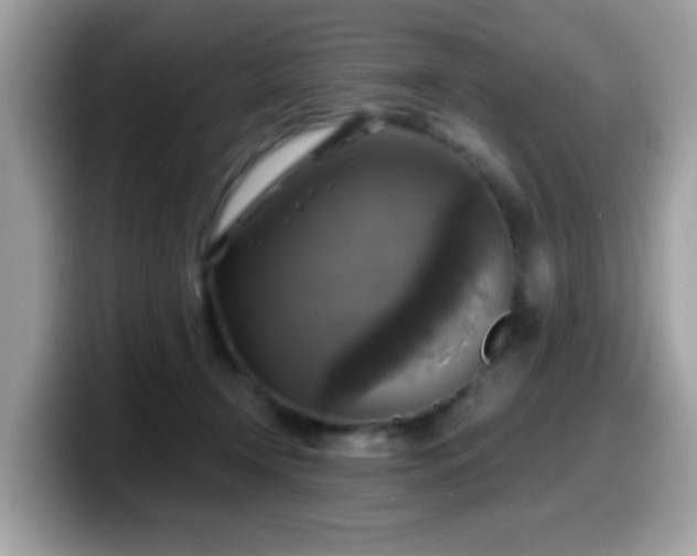 X0000099950366200805301240