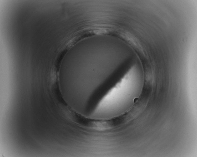 X0000099950367200805301240