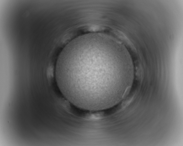 X0000099950368200805301240