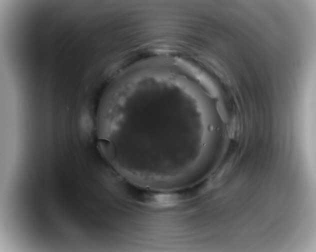X0000099950371200805301240