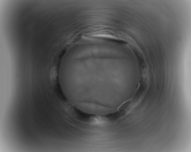 X0000099950372200805301240