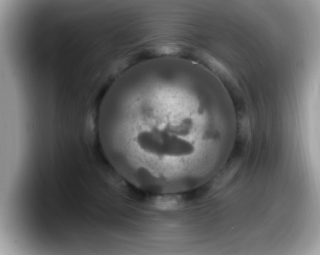 X0000099950373200805301241