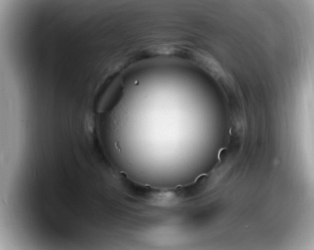 X0000099950374200805301241