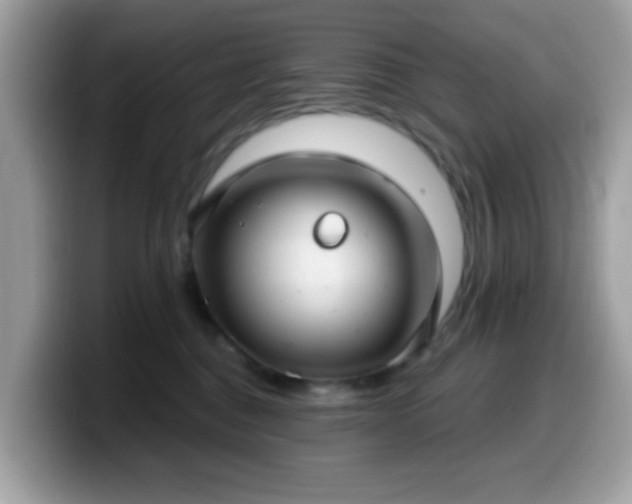 X0000099950376200805301241