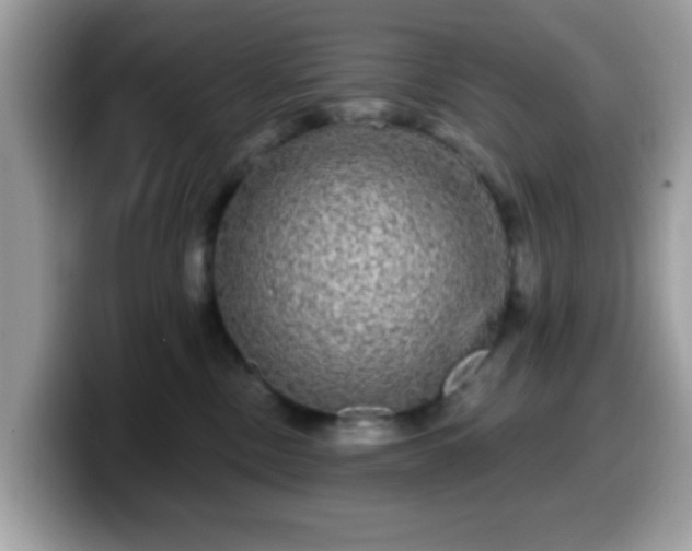 X0000099950378200805301241