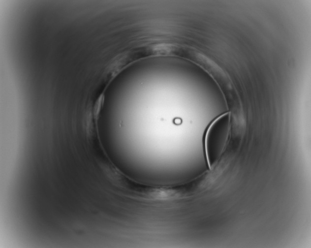 X0000099950379200805301241