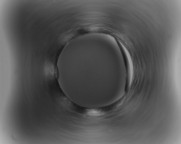 X0000099950380200805301241