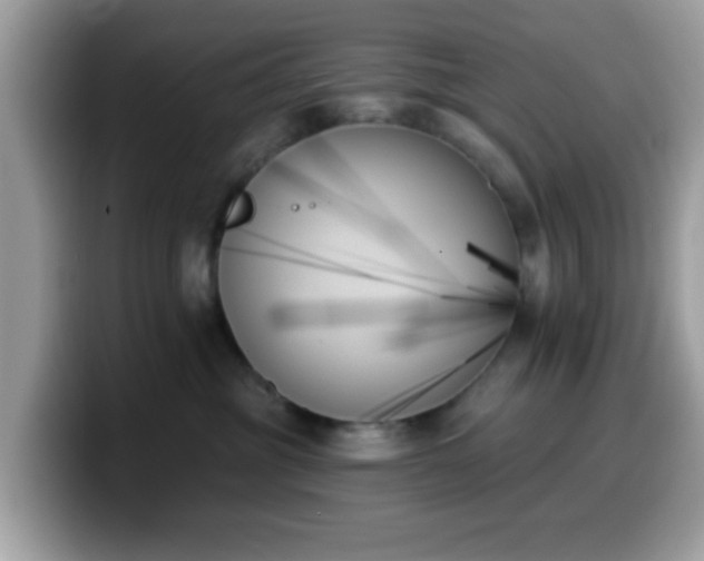 X0000099950381200805301241