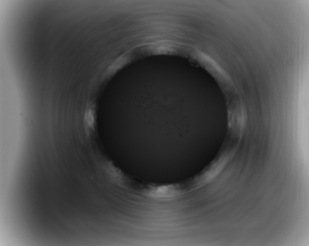 X0000099950382200805301241