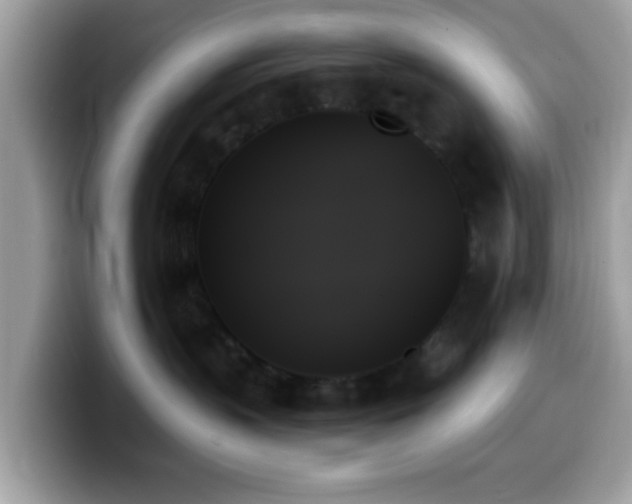 X0000099950383200805301241