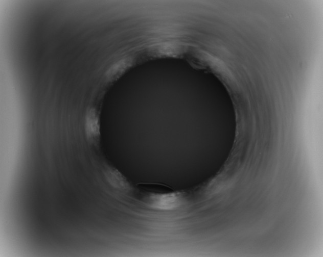 X0000099950384200805301241