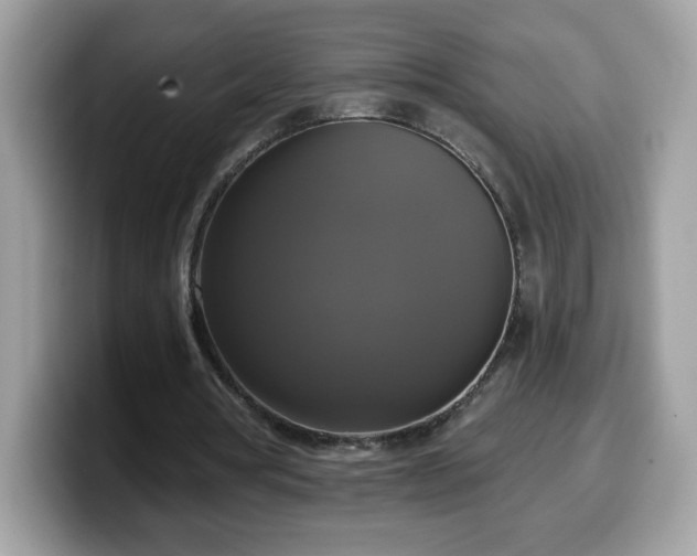 X0000099950386200805301240