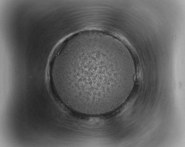 X0000099950388200805301240