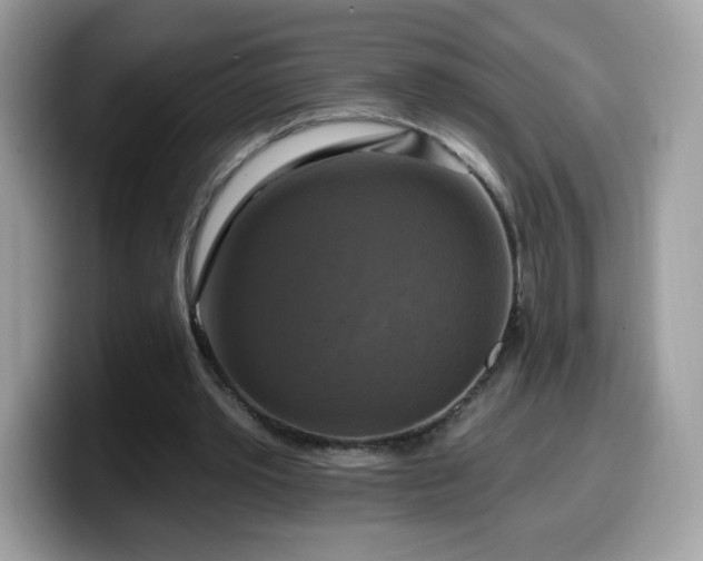 X0000099950389200805301240