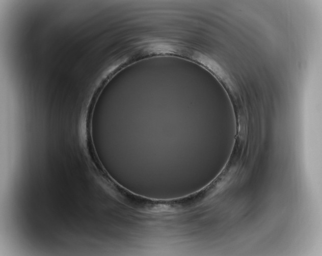 X0000099950390200805301240