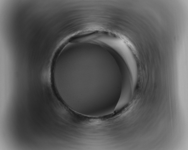 X0000099950391200805301240