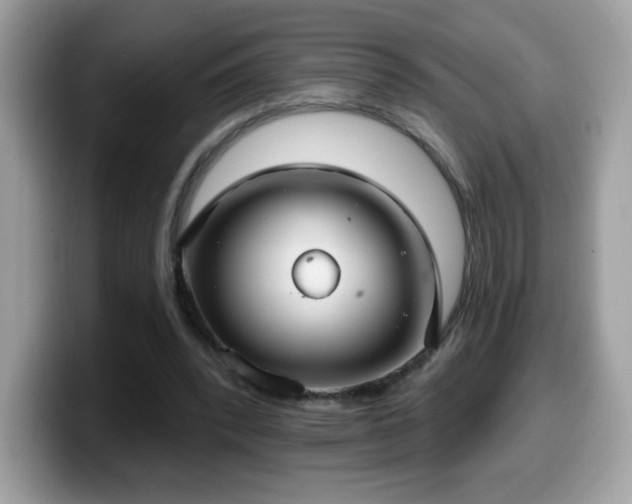 X0000099950392200805301240