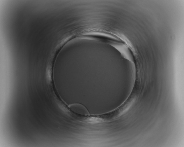 X0000099950393200805301240