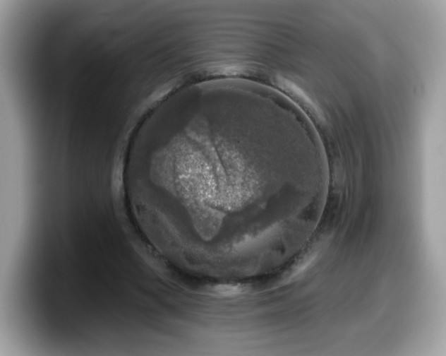 X0000099950394200805301240