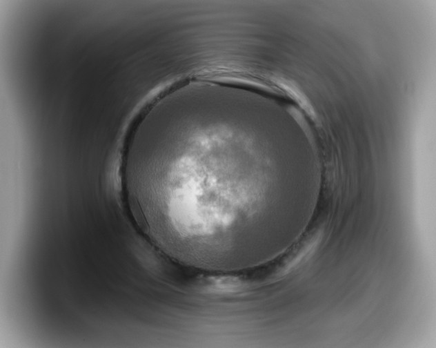 X0000099950395200805301240