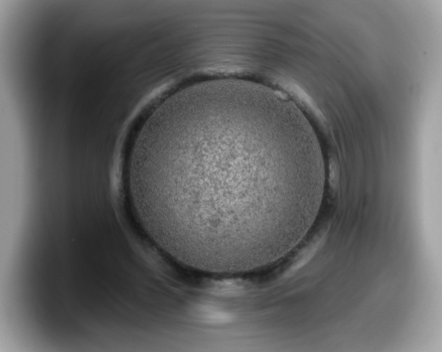 X0000099950396200805301240