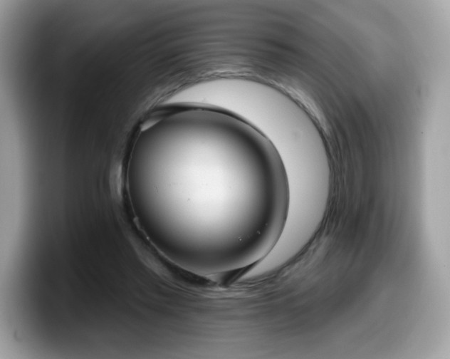 X0000099950397200805301240