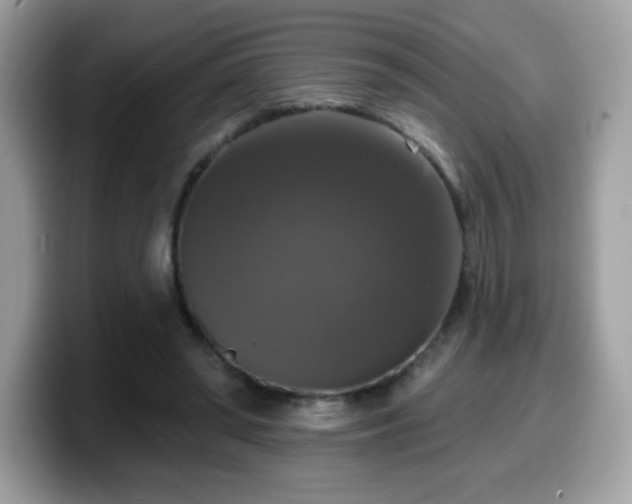 X0000099950398200805301240