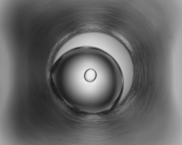 X0000099950399200805301240