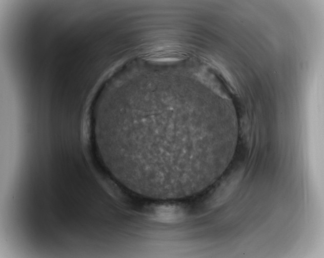 X0000099950400200805301240