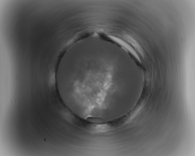 X0000099950401200805301240