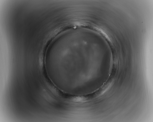 X0000099950402200805301240