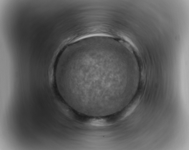 X0000099950403200805301240