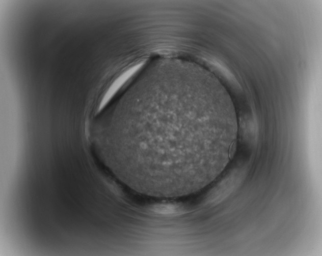 X0000099950404200805301240