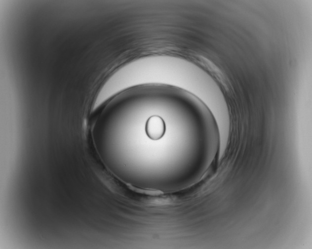 X0000099950405200805301240