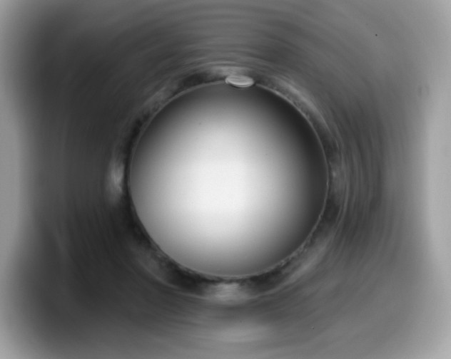 X0000099950406200805301240