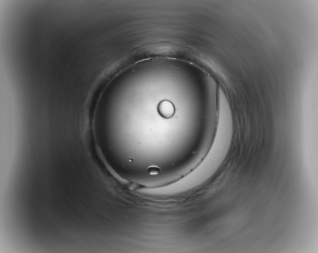 X0000099950407200805301240
