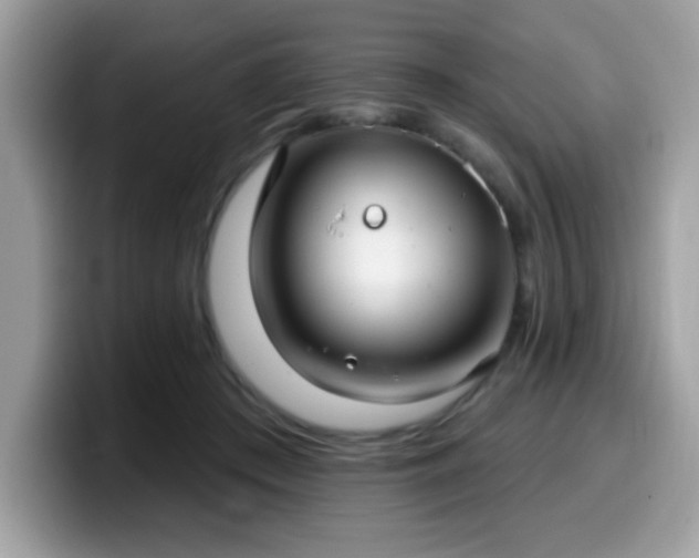 X0000099950409200805301240