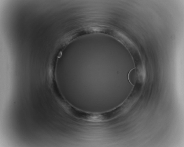 X0000099950410200805301240
