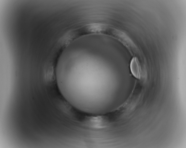 X0000099950411200805301240