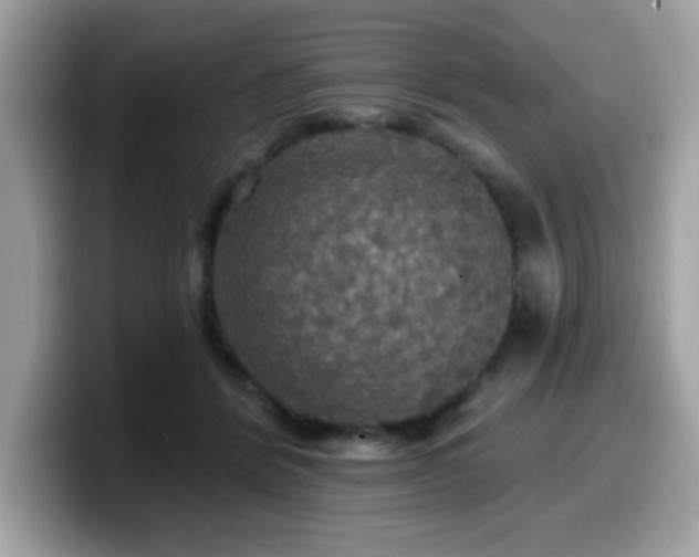 X0000099950412200805301240